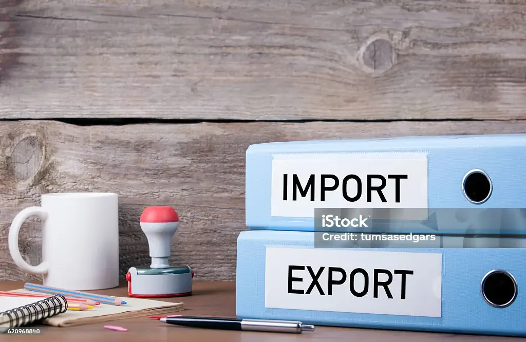 Elevating Imports and Exports with Expert Customs Clearance Services.